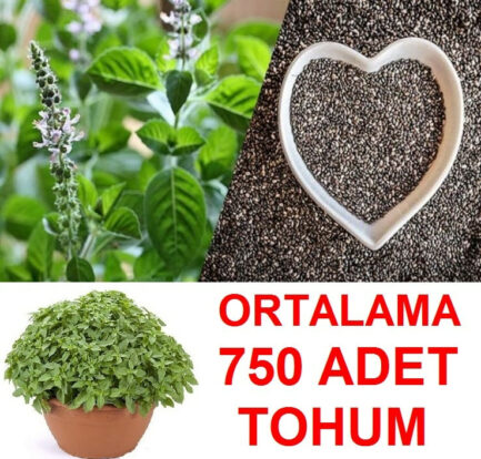 Fesleğen Tohumu Kaç Günde Çimlenir? [2026 Uzman İpuçları] - Kapak Görseli